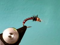 185F7005-643E-44B2-980B-CF250287AF76.jpeg