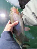 IMG_4085.JPG
