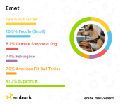emet5.png