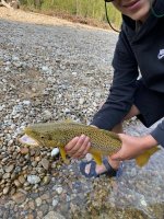 IMG_0604.jpg