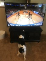 boilerup.jpg