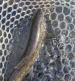 20220210_180101.jpg