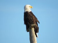 IMG_1485.JPG