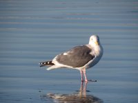 IMG_1478.JPG