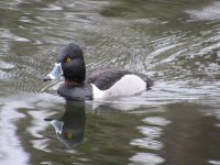 IMG_1440.JPG