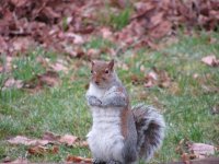 IMG_1458.JPG