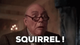 1644693476318.png