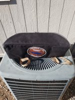Saddle Bag.jpg