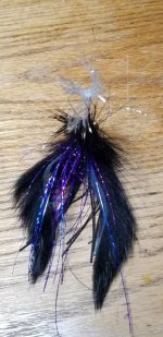 20210227_203122.jpg