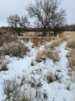 20220115_160448.jpg
