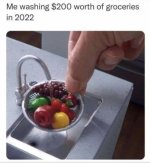 B7AB97B7-5EEB-4E78-A3D0-C2E54482DBE7.jpeg
