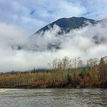 506C5514-E015-47AD-8FD4-5BD1F5D4B2D9.jpeg