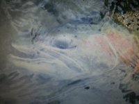 20130607_114542.jpg