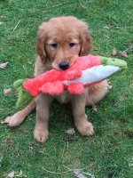 Cedar w first fish.jpg Cedar w first fish.jpg