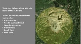 278E5723-8D59-4AB0-AA08-729C8EA70646.jpeg