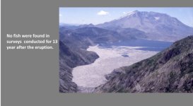 93B3D215-CC82-44D3-BC83-5A4B4867540E.jpeg