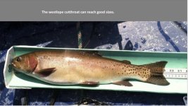 05D0466C-7946-47AB-824B-2AC895D7C06C.jpeg