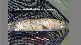 71577553-9FCF-40AB-A785-ACECAAA174C6.jpeg