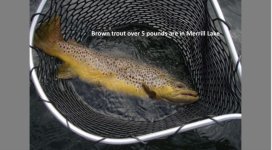 CB8D8017-2B5A-4C1D-B501-DB95F776216E.jpeg