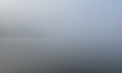 E5F72EE5-103C-4ACC-A311-7EAE5F3D11D3.jpeg E5F72EE5-103C-4ACC-A311-7EAE5F3D11D3.jpeg