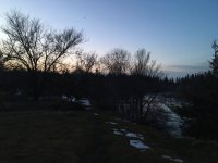 IMG_4897.JPG