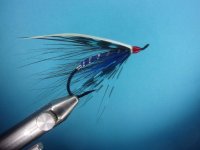 vargas spey 2.JPG