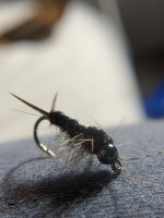 IMG_3104.jpg