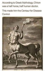 centaur for disease control.jpg