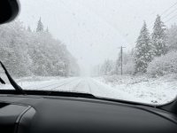 34FEB3D5-B44D-449C-96C4-37D513ABF269.jpeg