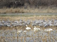 IMG_4162.JPG