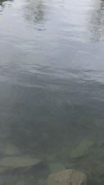 7545ED7F-FD09-4274-B52B-30FF6D69820E.jpeg