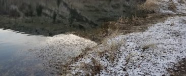 20230325_shore.jpg 20230325_shore.jpg