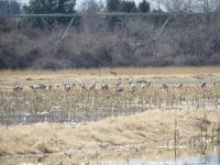 IMG_4192.JPG
