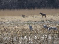 IMG_4193.JPG