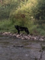 IMG_1261.jpg