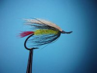 chehalis caddis.JPG