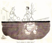 1680006388748.png