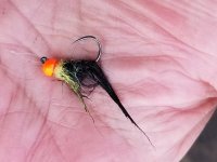 20230328_hotsptmbsimileech.jpg