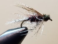20230402_074218.jpg 20230402_074218.jpg