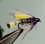20230402_184311.jpg 20230402_184311.jpg