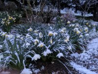 IMG_20230403_103016.jpg