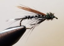 20230403_093857.jpg