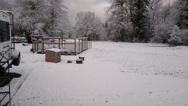 IMG_20230403_071125569[1].jpg