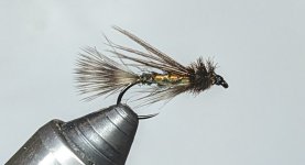 PXL_20230403_182855731.jpg
