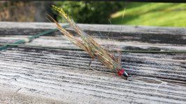 20230403_151125.jpg