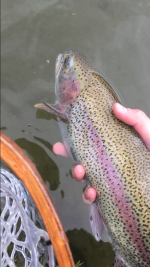 IMG_0304.PNG IMG_0304.PNG