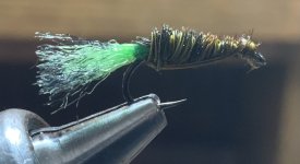7AA97C12-1C2C-4328-B329-BAA40957E5AF.jpeg 7AA97C12-1C2C-4328-B329-BAA40957E5AF.jpeg