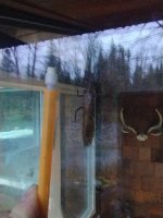 IMG_20230407_065531629.jpg