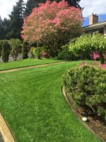 IMG_1155.jpeg IMG_1155.jpeg