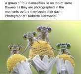 C65BD78F-0E6E-4106-9968-F6051157EBD6.jpeg